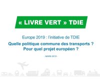 TDIE_Livre-vert-Europe_page-0001